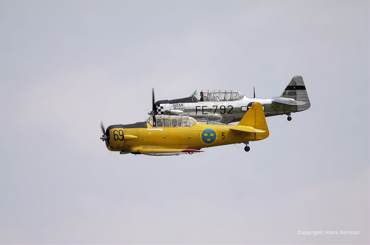 Copyright©Hans Norman